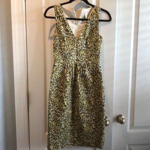 Never worn j crew dress